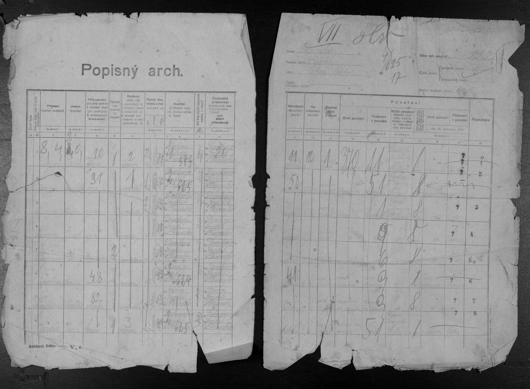 Sčítací arch z obce Staré Město, dům čp. 222, majitel Josef Langer (Sčítáni lidu v roce 1921).