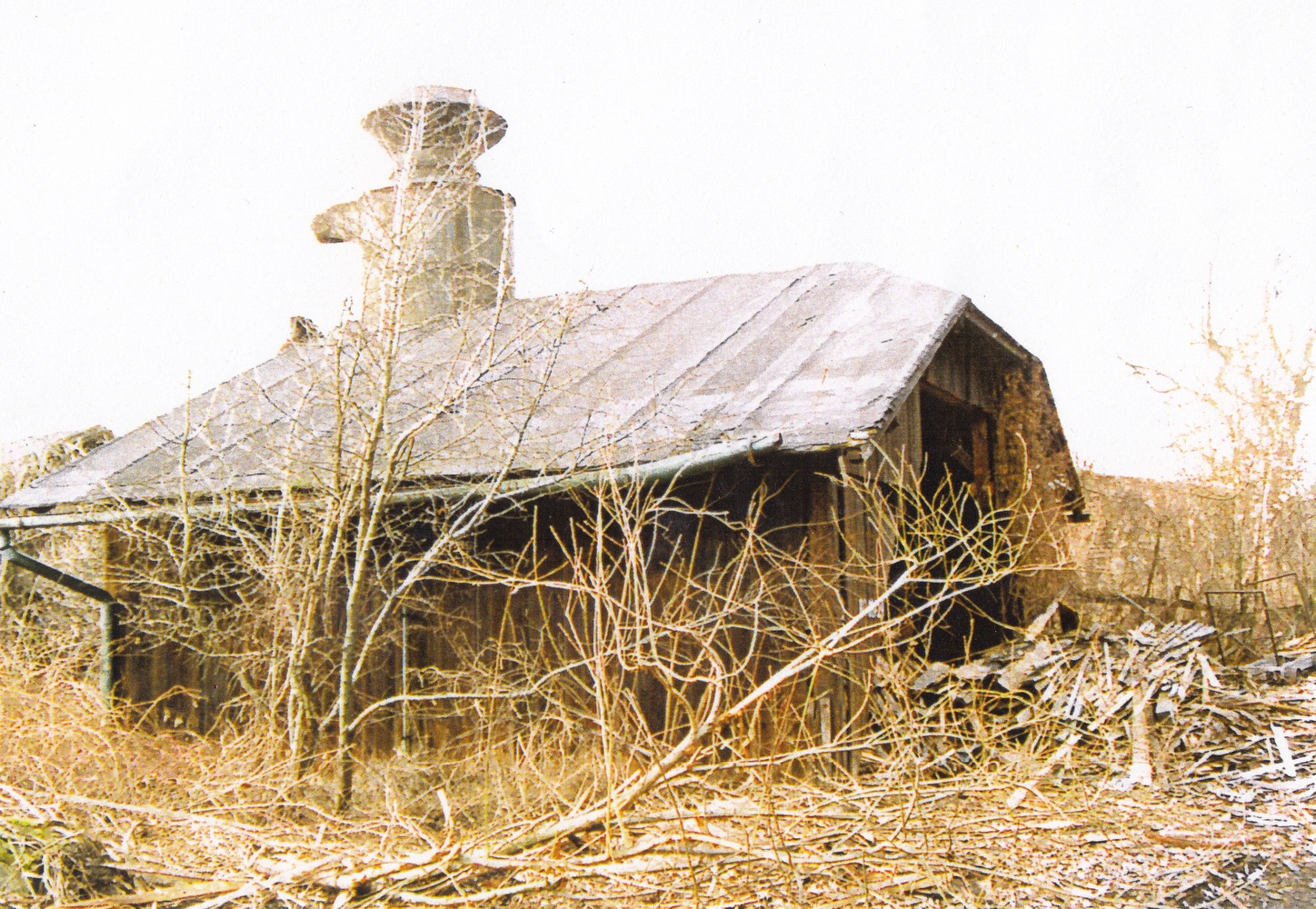 Areál pily na fotografii z roku 1999
