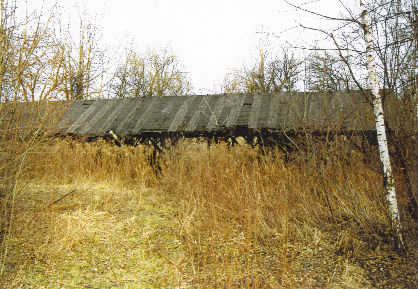 Areál pily na fotografii z roku 1999