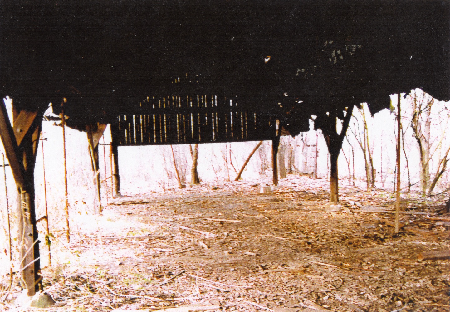 Areál pily na fotografii z roku 1999