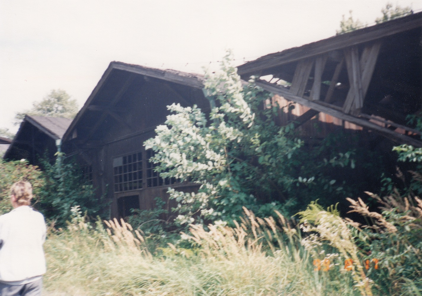 Areál pily na fotografii z roku 1999