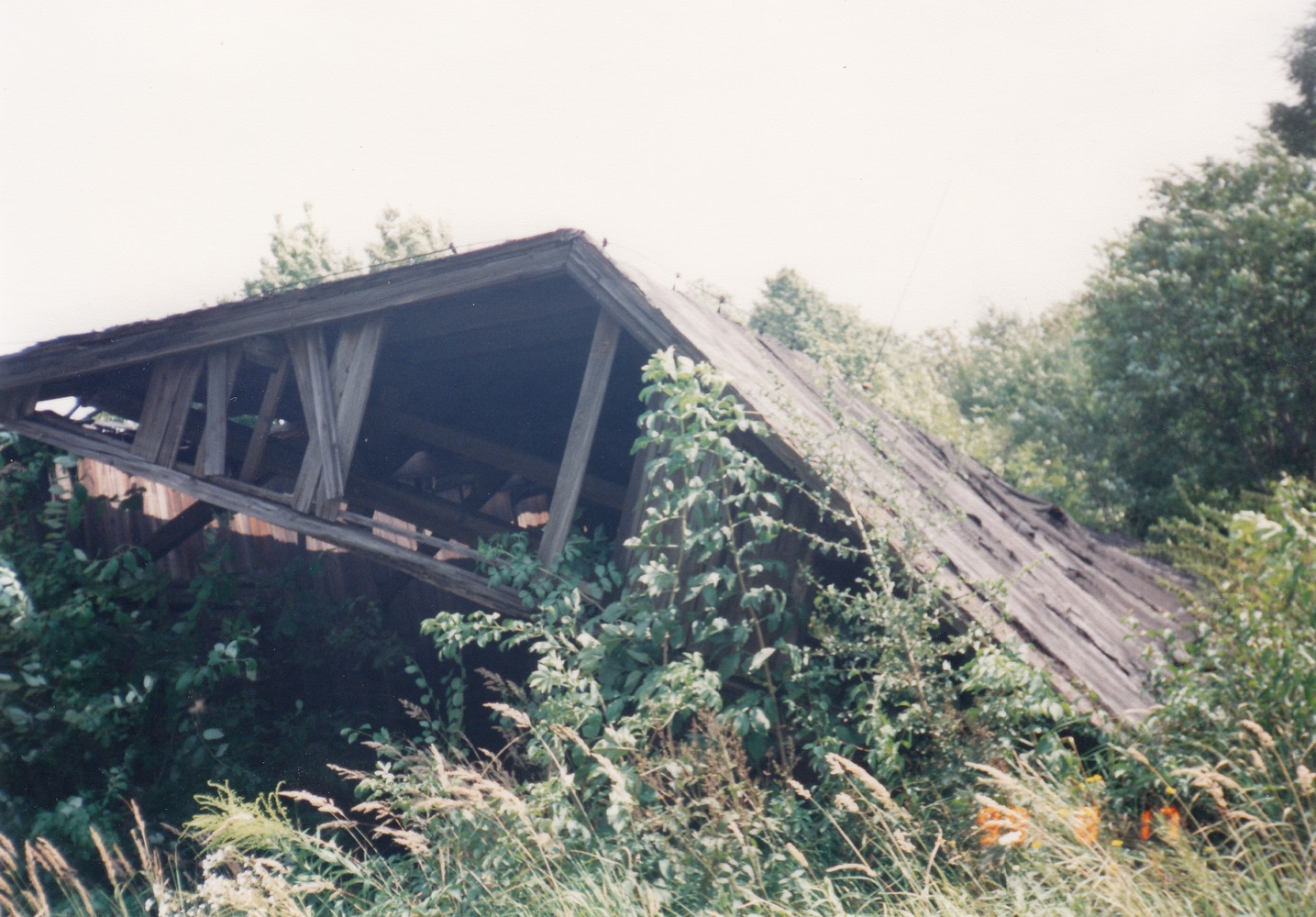 Areál pily na fotografii z roku 1999