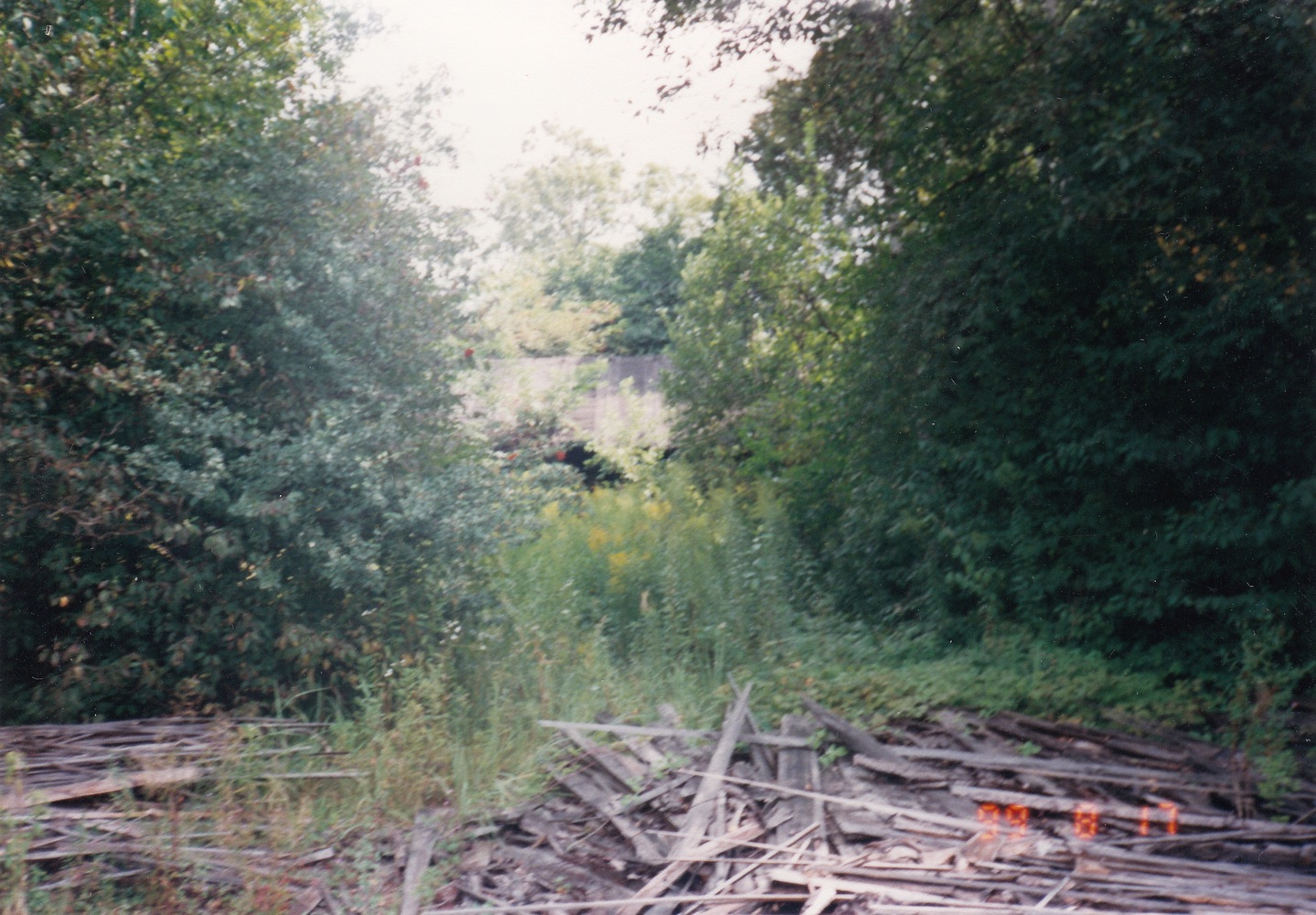 Areál pily na fotografii z roku 1999