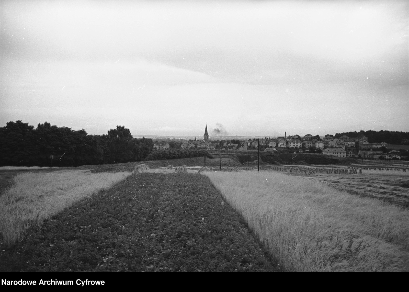 Stacks Image 1799