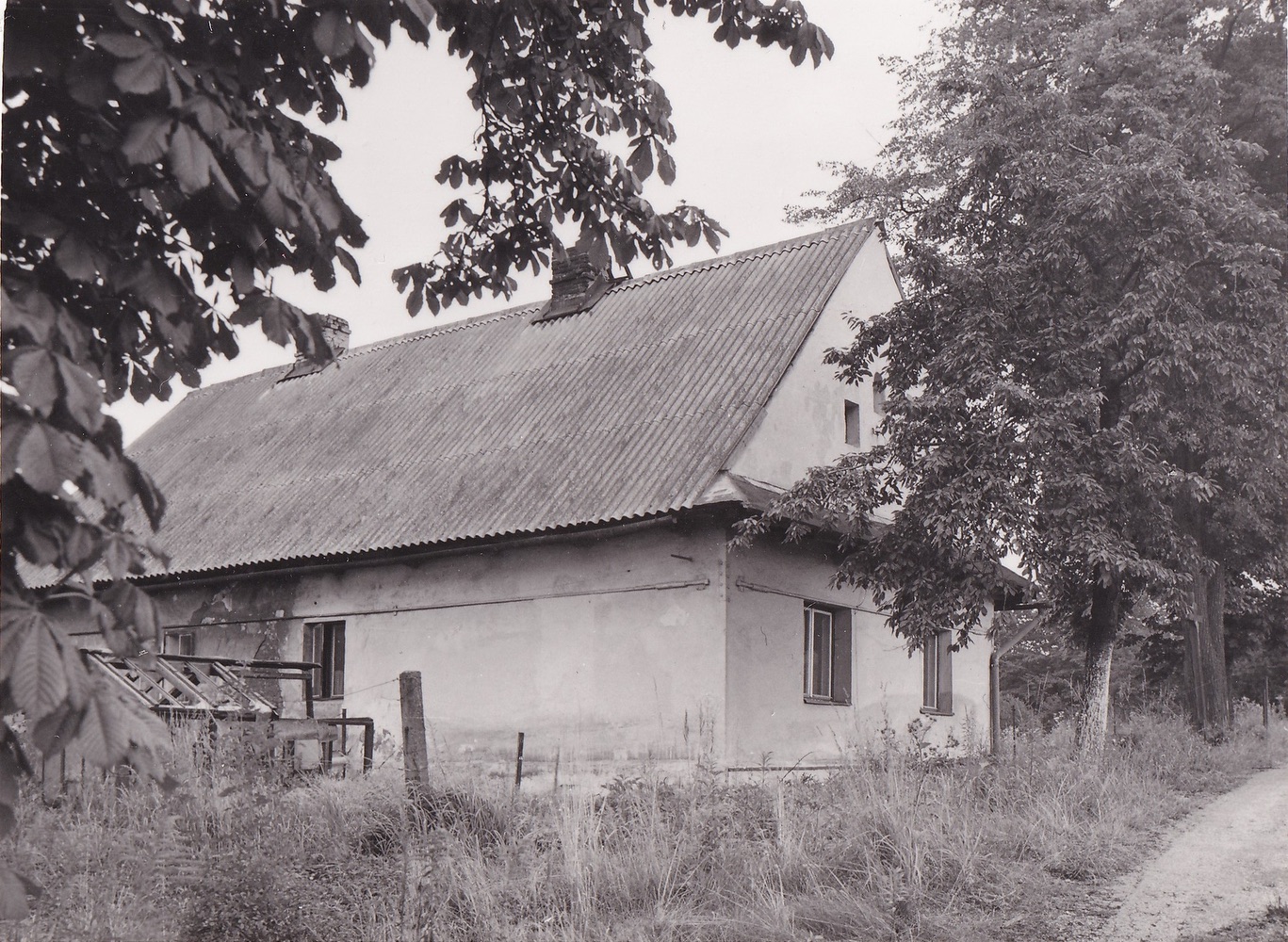 Dům čp. 123 na fotografii z roku 1984. Vpravo u stromu je patrný dřevěný kříž na ulici Příkré. (S laskavým svolením p. Petra Cieślara, ze soukromé sbírky)