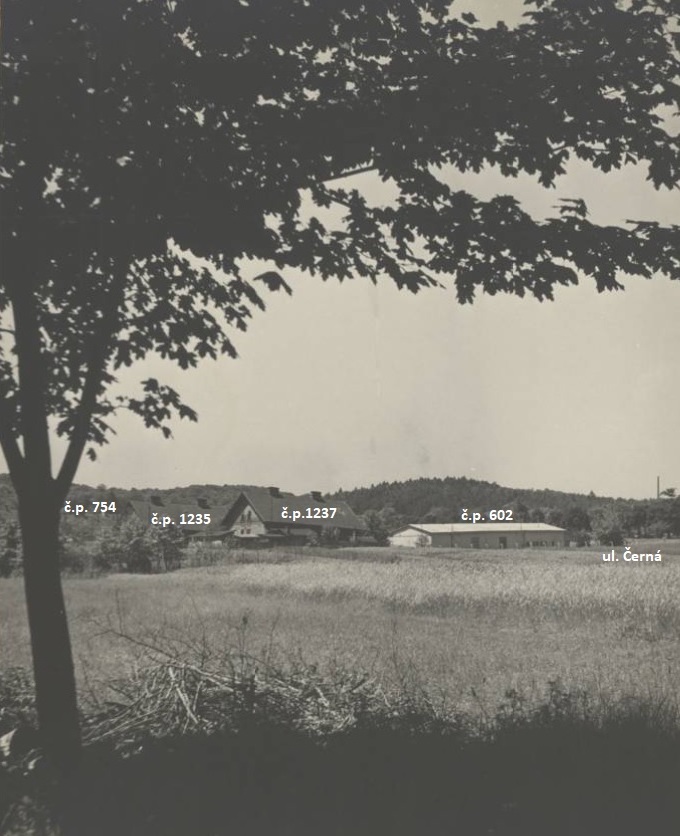 Záběr z kolonie U Koksovny (Identifikace fotografie a označení objektů: Petr Bindač)