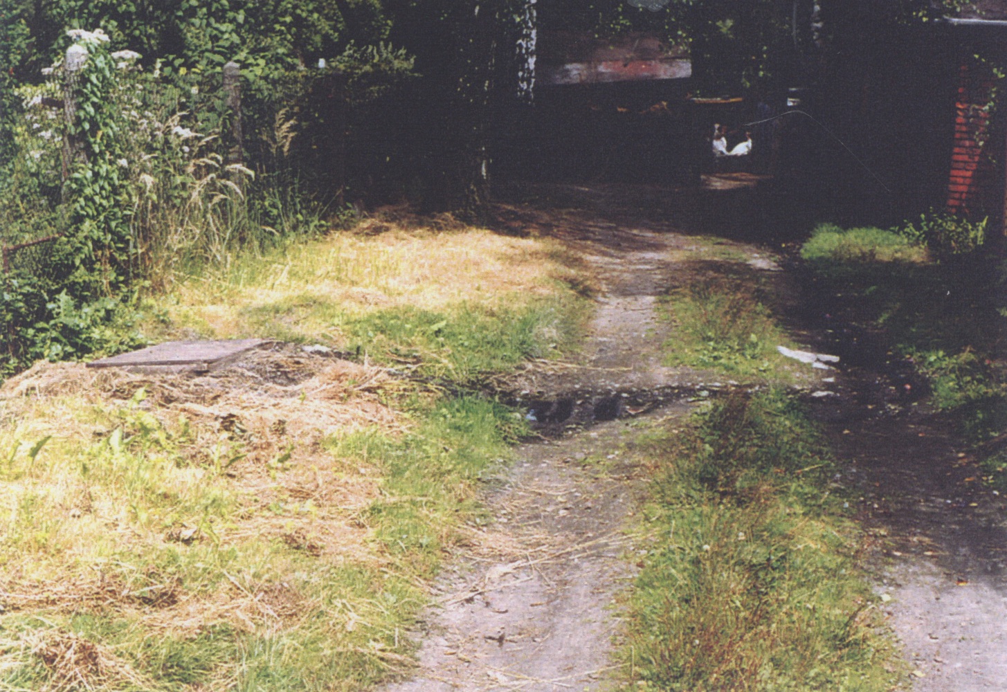 Příjezdová cesta k domu čp. 1282 na snímku z roku 1999