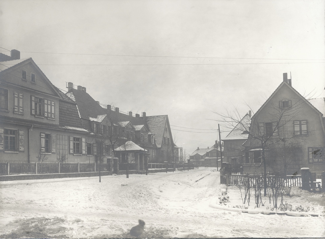 Lesní kolonie (tzv. Velká lesní, neboli Nový Jork). Vlevo dům čp. 1290, vpravo dům čp. 1285, za ním čp. 1286. Na konci ulice jsou pak patrné domy čp. 1312 a čp. 1311. (Identifikace fotografie: Petr Bindač)