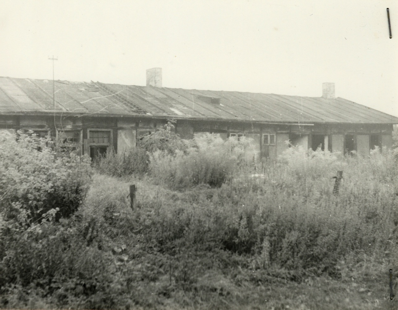 Dům čp. 1336 na fotografii z roku 1979