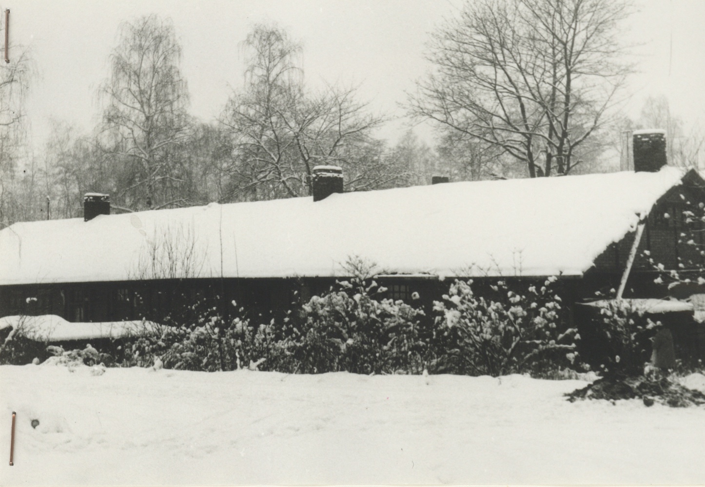 Dům čp. 1337 na fotografii z roku 1985