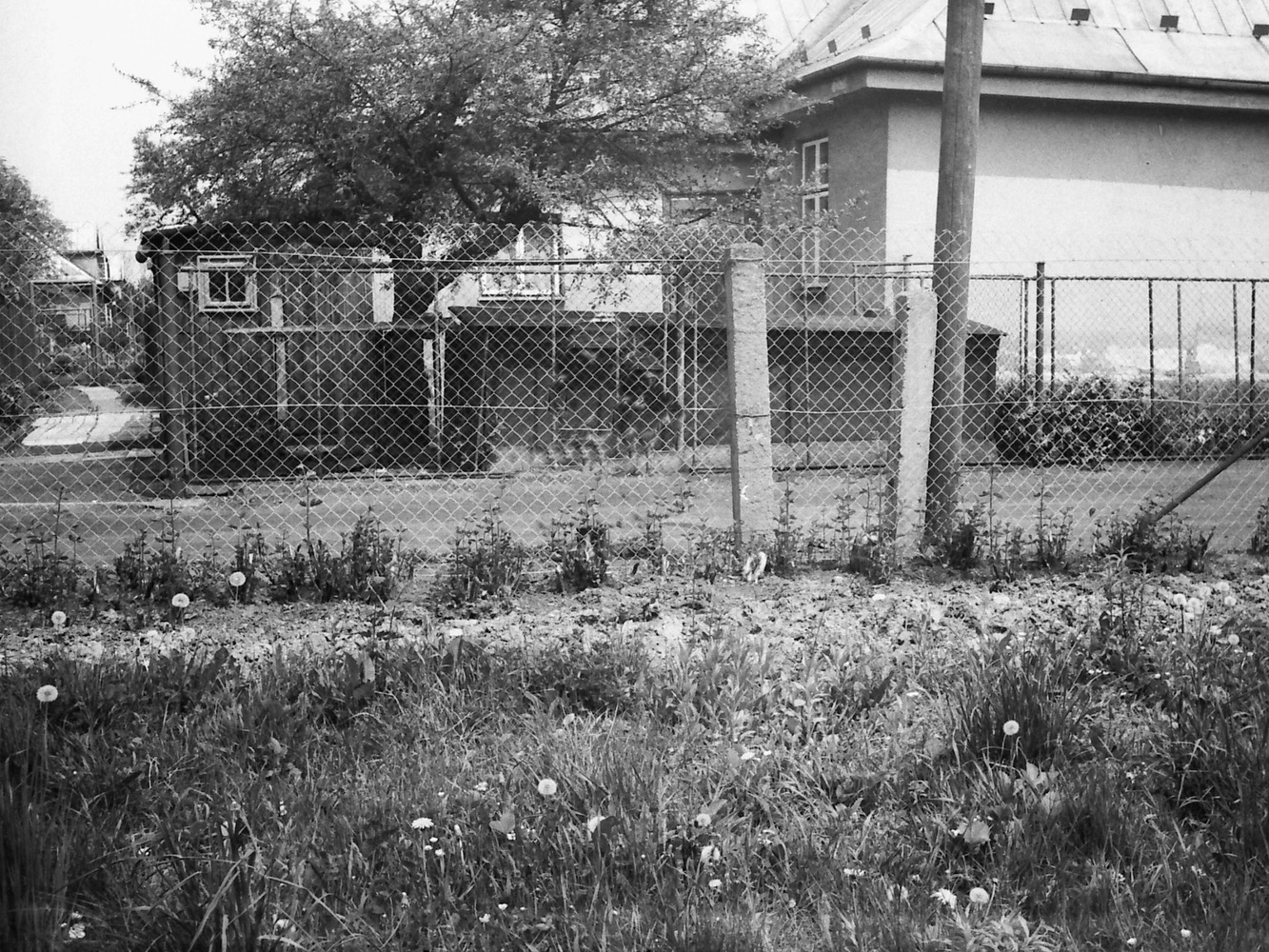 Dům čp. 1378 na fotografii z roku 1981 (Autor: Vladimír Valent)