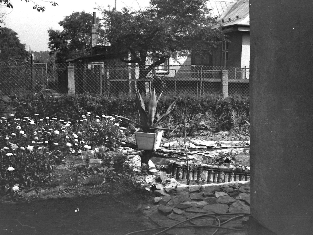 Za stromem dům čp. 1378 na fotografii z roku 1983 (Autor: Vladimír Valent)