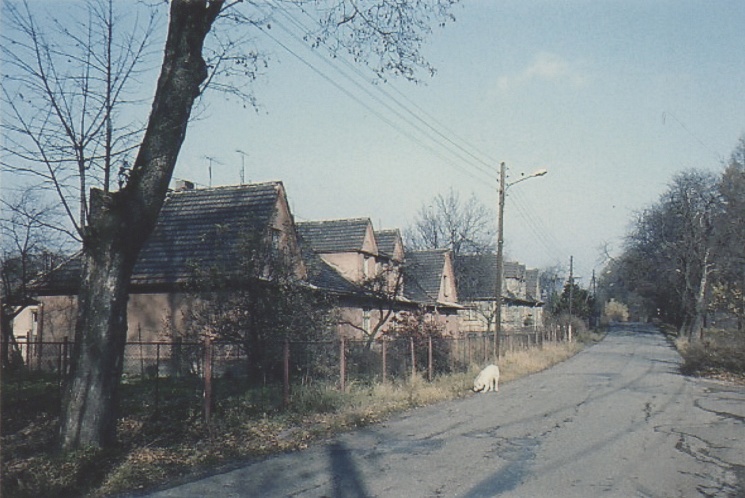 Dům čp. 1428 a za ním čp. 1418 na ulici Slezská. Fotografováno 2.11.1992 (S laskavým svolením autorky p. J. Stellmeierové, ze soukromé sbírky).