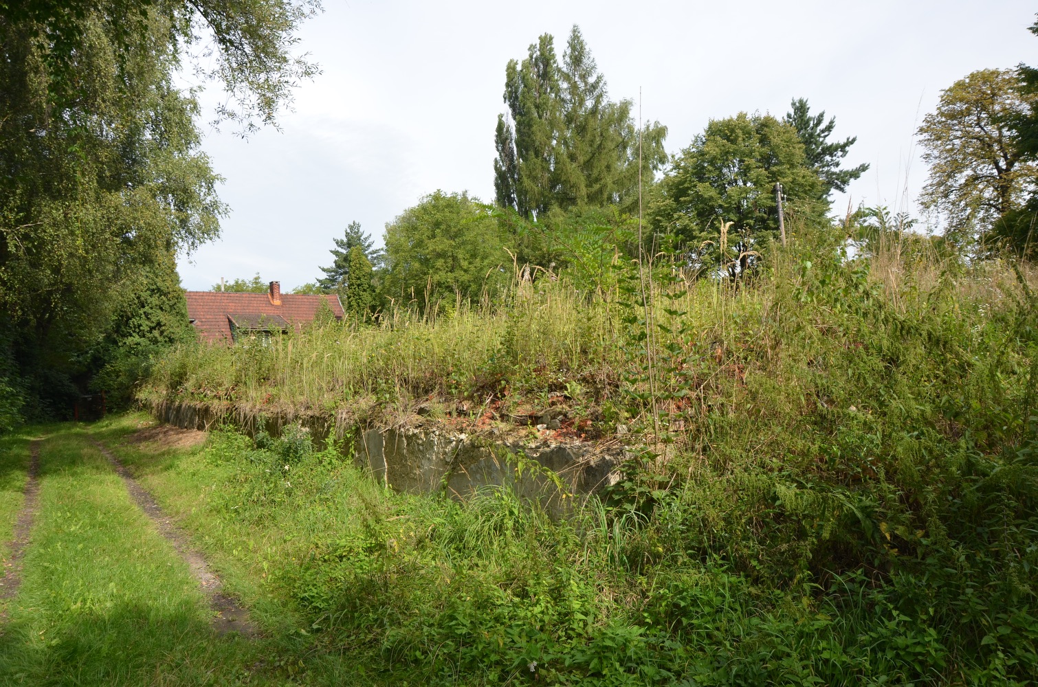 Dům čp. 1454 a jeho okolí na fotografii z 18. srpna 2019 (Autor: Erika Schweserová)