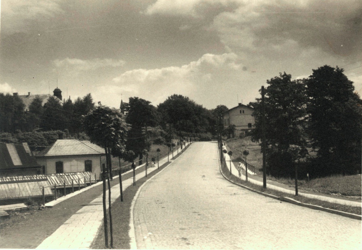 Vlevo na Komenského ulici bylo zahradnictví Dvořák, za ním je vidět věžičku německého spolkového domu Turnhalle a tzv. Azylu. (Fotografie neznámého autora, Státní okresní archiv Karviná, 878)