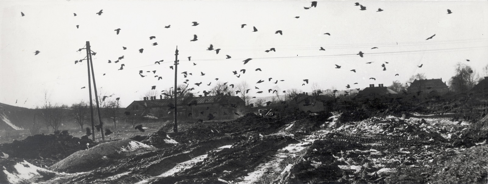 Záběr směrem na kolonii Sovinec z roku 1962. Ulice Sovinecká, vlevo dům čp. 1545, uprostřed dům čp. 1548 a vpravo v dálce budova České školy na Sovinci, čp. 1562. Varianta s vyznačenými čísly popisnými na následujícím snímku... (Identifikace fotografie: Petr Bindač)