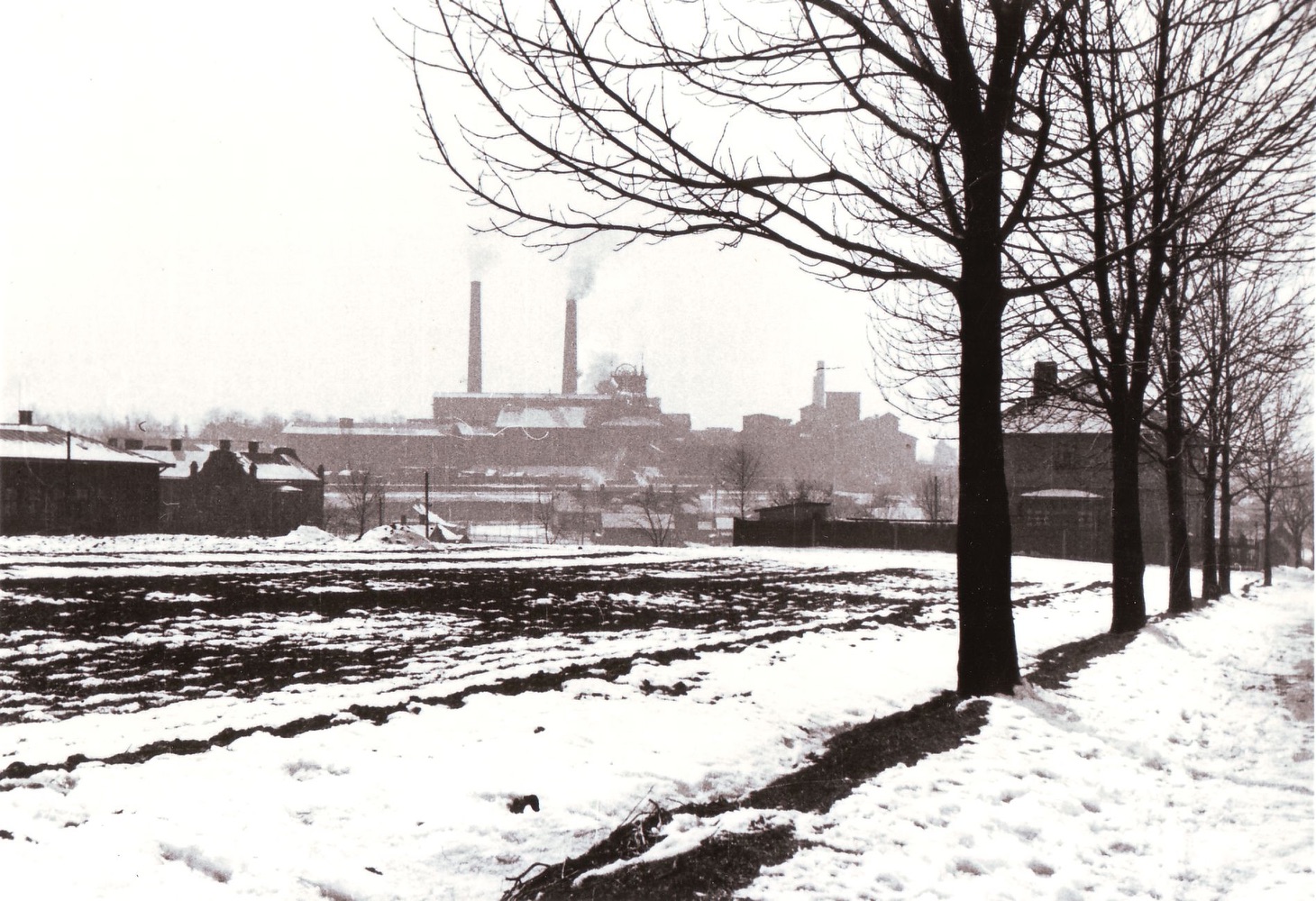 Pohled z ulice U Františky směrem k dolu a koksovně Hohenegger. Vlevo část původní podoby Polské školy na Hesovce čp. 304 a vedle dům čp. 1265. Vpravo za stromy dům čp. 1598, 1597 a úplně v rohu fotografie kaplička na Hoheneggeru (Szewieczkova). Uprostřed za polem částečně viditelná střecha domu čp. 90. Varianta s vyznačenými čísly popisnými na následujícím snímku… (Identifikace a označení objektů: Petr Bindač)