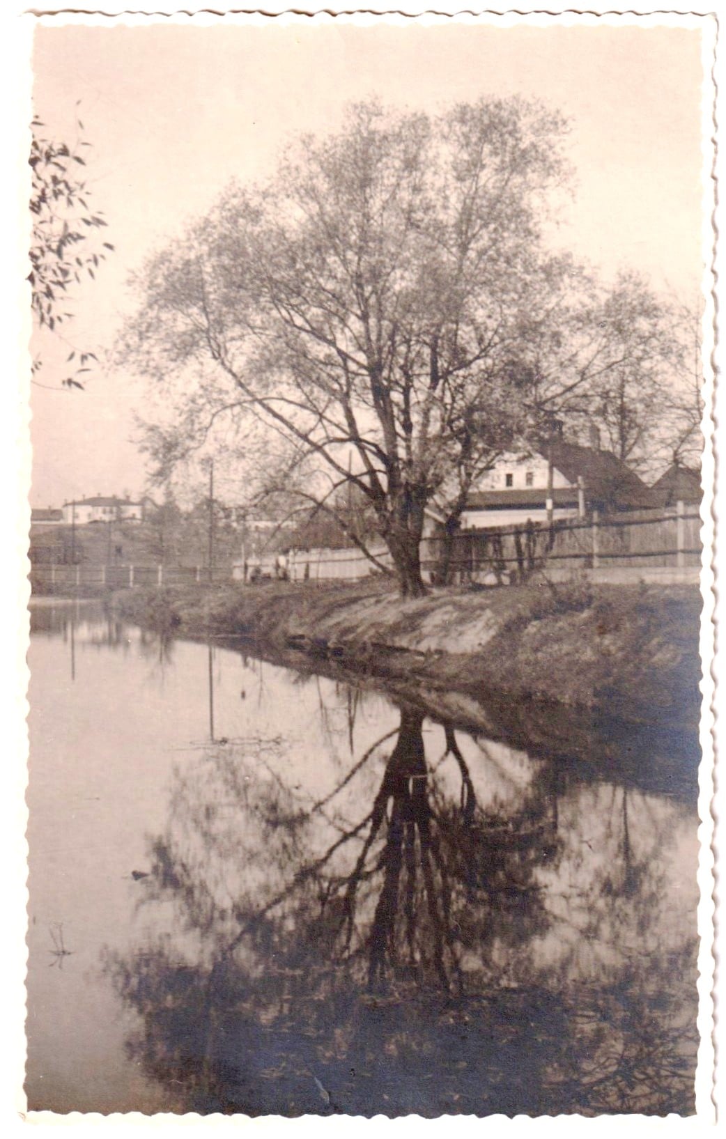 Vpravo za stromem dům čp. 325 na snímku z roku 1933. (Zdroj: Facebook = klik na obrázek)