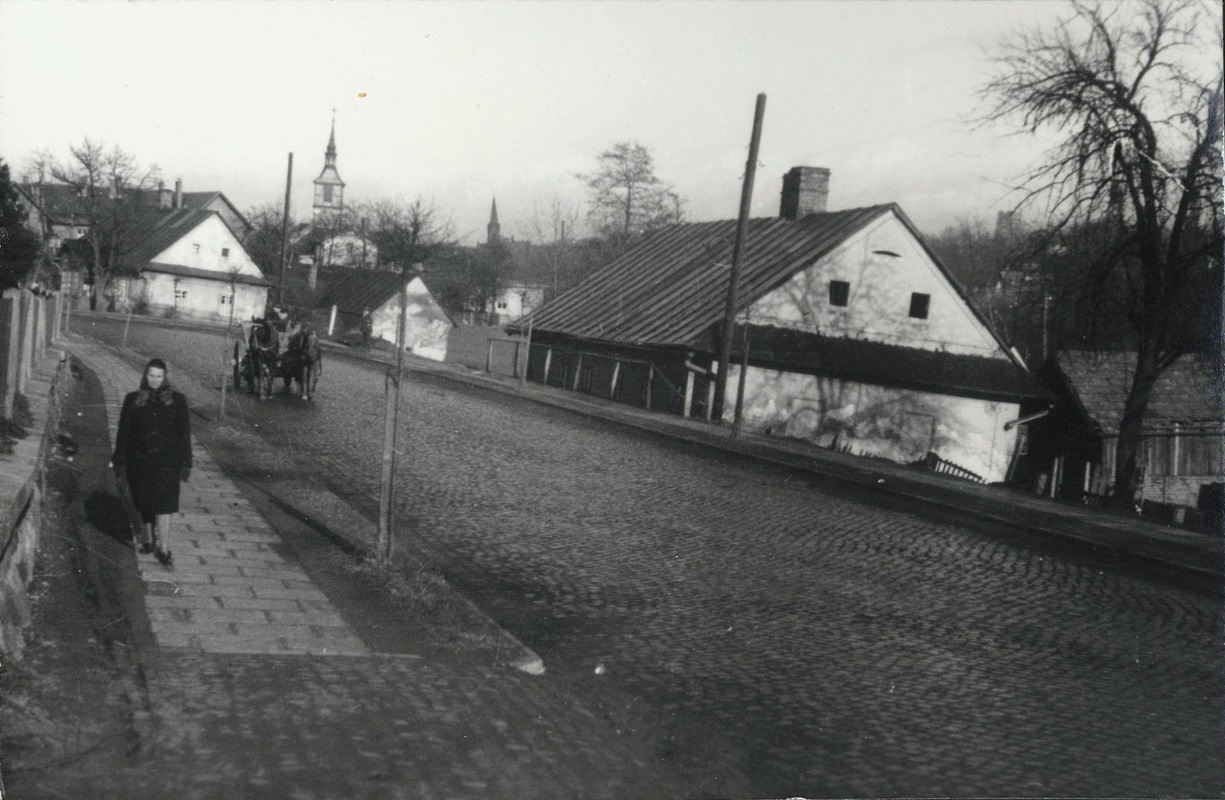 Dům vpravo: zahradnictví Dvořák (čp. 373), za ním dům čp. 366