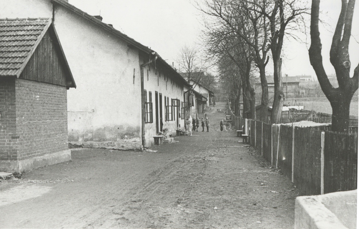 Záběr z Bílé kolonie. V popředí dům čp. 477, následují domy čp. 462, čp. 461, u hlavní cesty pak část tmavé střechy Obecné školy čp. 521 a vpravo za stromy Mateřská škola čp. 892