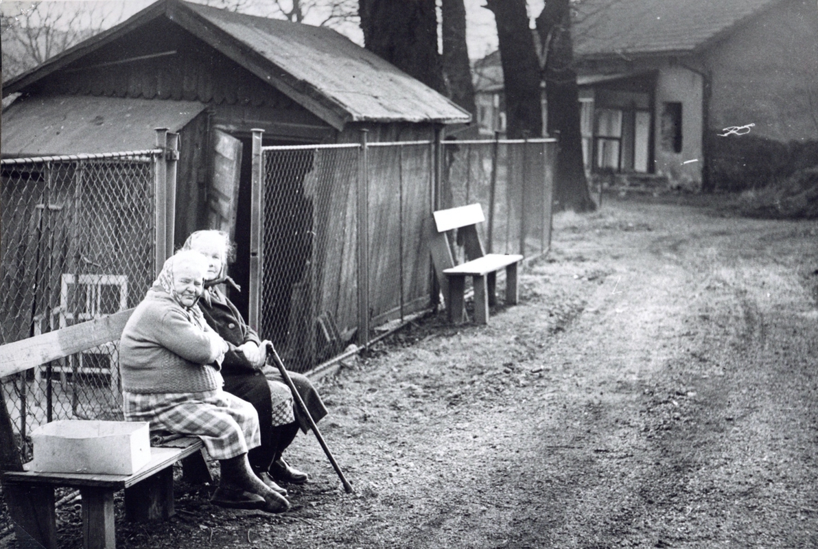 Idyla z Bílé kolonie... Babičky sedí před domem čp. 478, vzadu je dům čp. 479. (Identifikace snímku: Jan Polakovič)