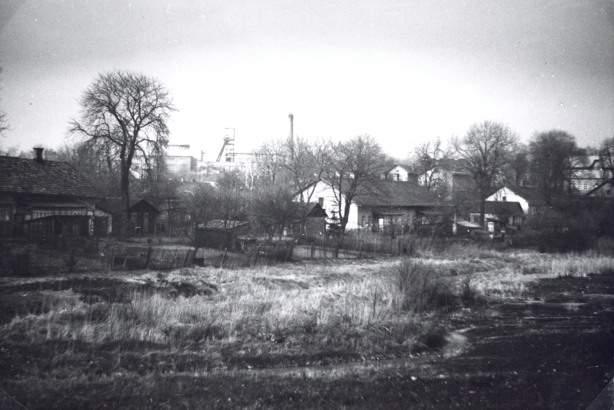 Bílá kolonie (Kolonie číslo VI, „Na šustym“). Vlevo dům čp. 478, uprostřed čp. 477, vpravo pak dům čp. 462. Úplně vpravo vzadu Obecná škola s polským jazykem vyučovacím na Jindřichu (čp. 521).
