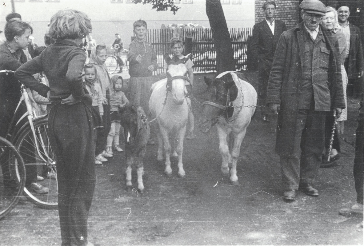 Záběr z příjezdu zvířat Cirkusu Varšava vlakem na hlavní nádraží v Karvinné, v roce 1960.
