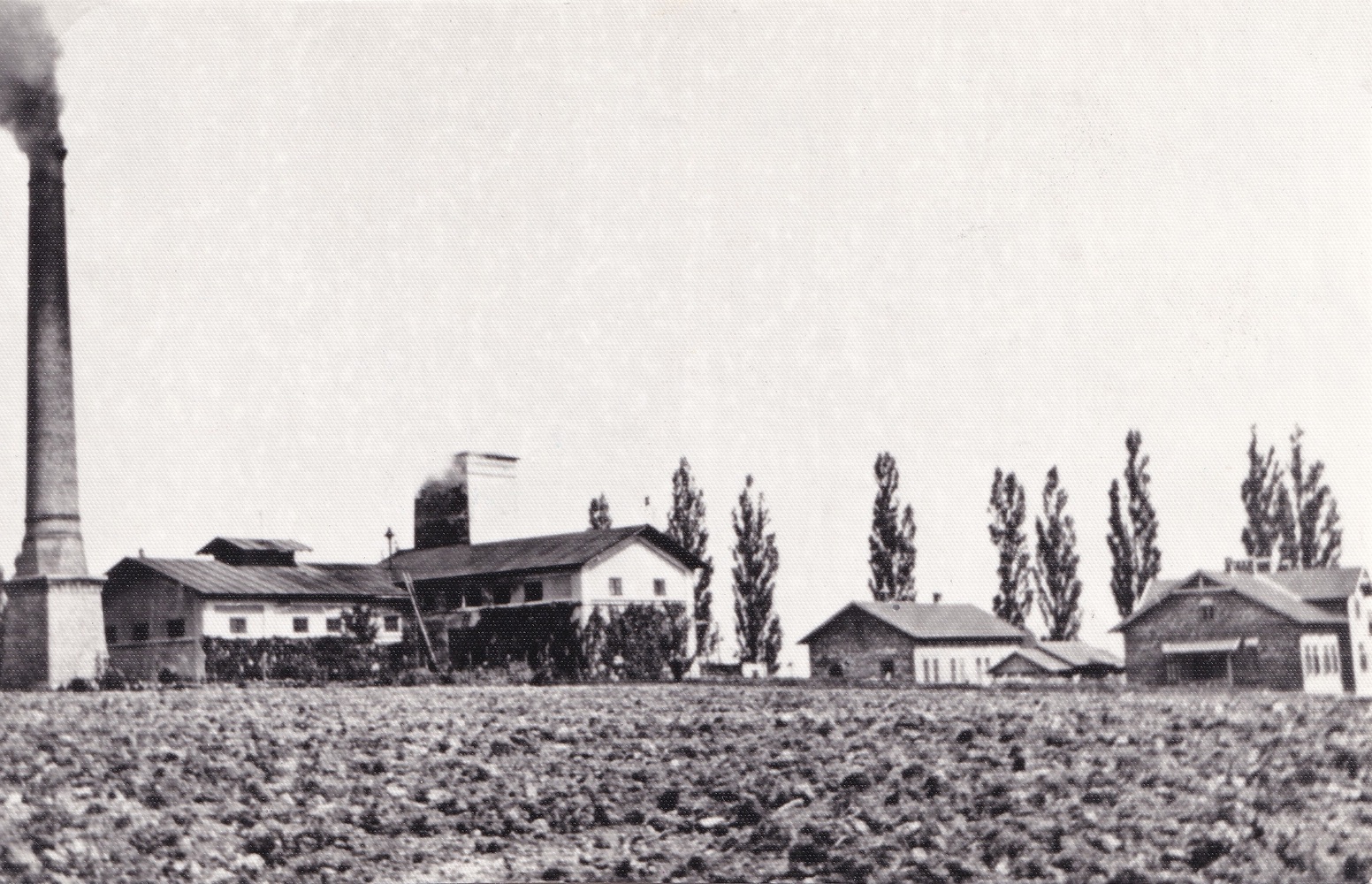 Větrní jáma Jindřiška čp. 344, vpravo domy z osady Masařovka čp. 530 a čp. 529 (sbírka po Jindřichu Wernerovi)