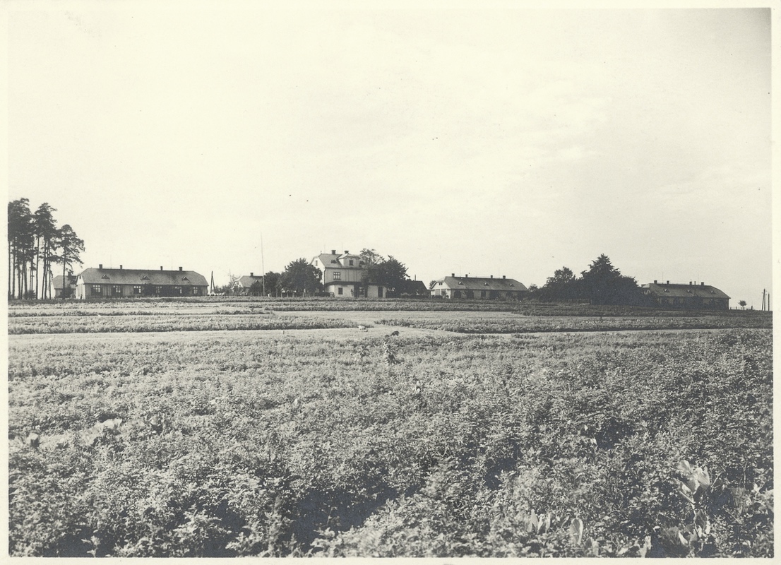 Pohled z východní strany (z konce ul. Heydukova) na Malou lesní kolonii na nedatované fotografii. Zleva domy čp. 1492 a čp. 1493 (v pozadí částečně za stromy), světlý dům v popředí je objekt čp. 544, v němž se nacházel obchod smíšeným zbožím (potraviny Szostek), následují domy čp. 1494 a čp. 1495.