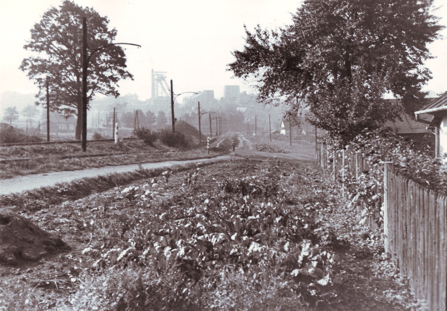 Pohled z Kostelní ulice směrem k dolu Gabriela. Vpravo plot domu čp. 60, vlevo za stromem dům čp. 1127.