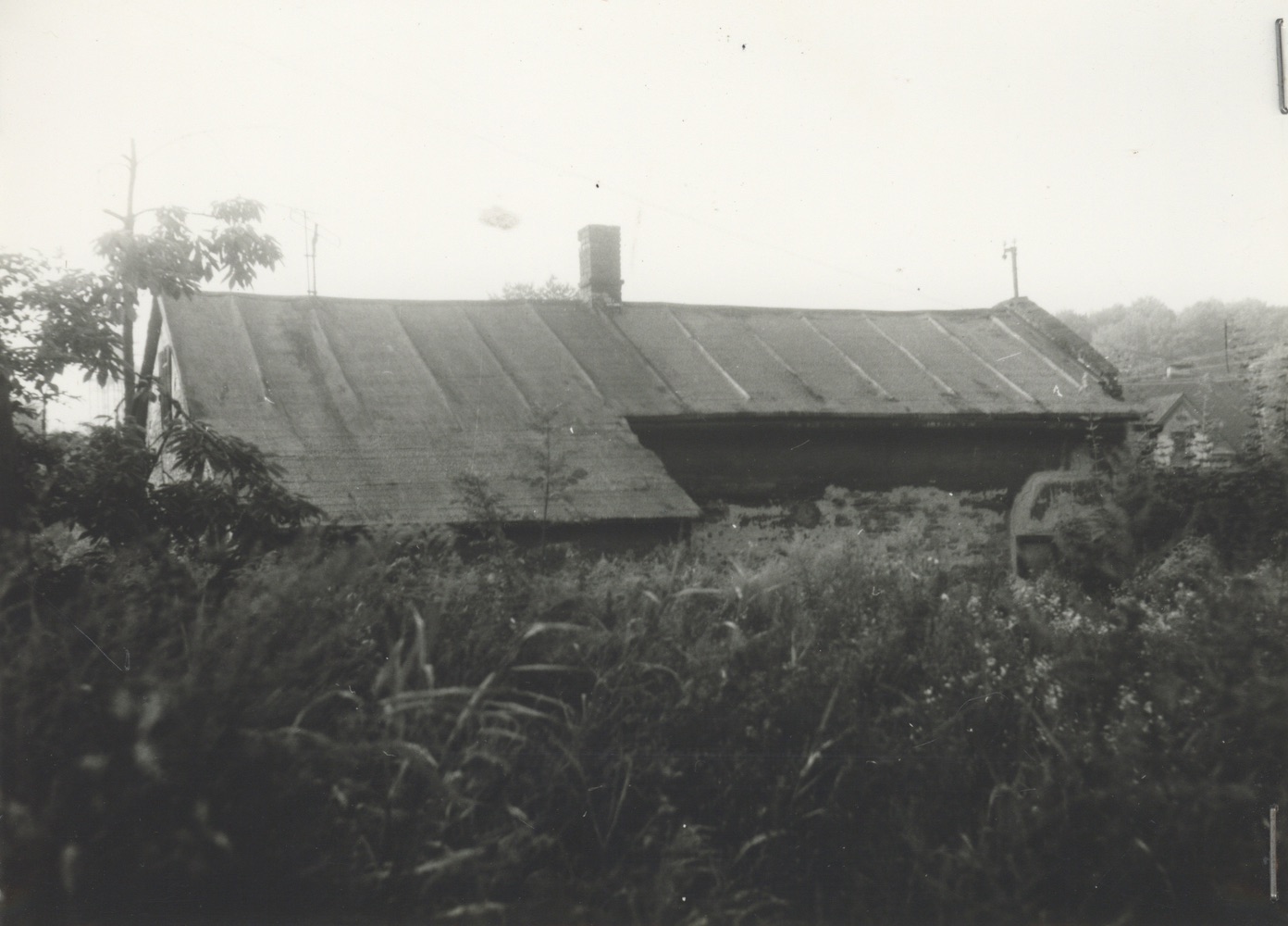 Dům čp. 706 na snímku z roku 1982
