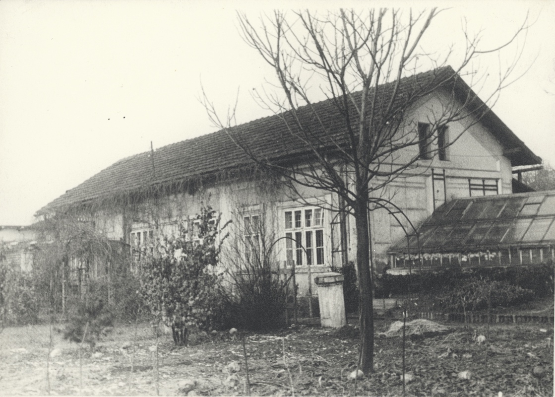 Česká mateřská škola a poradna pro matky s dětmi (První česká mateřská škola v Karviné, zřízena v zahradním domě č.p. 709 p. Marie Zlatníkové u jámy Hohenegger a otevřená 15.12. 1919.)