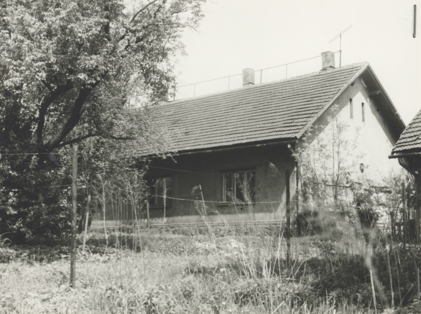 Dům čp. 738 na fotografii z roku 1984