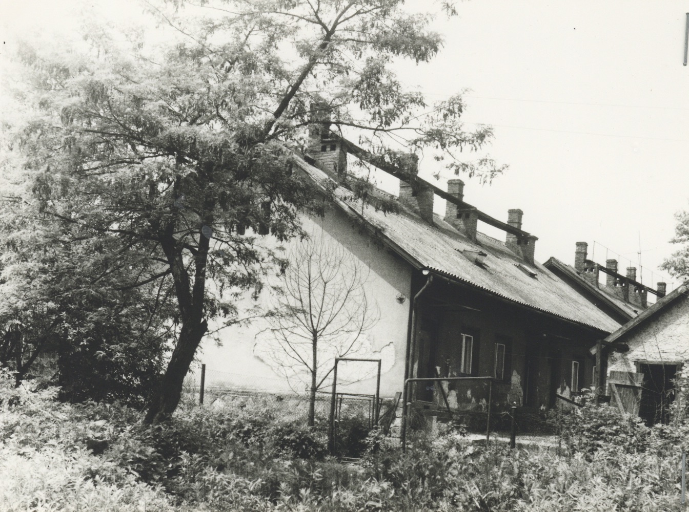 Dům čp. 800 na fotografii z roku 1985