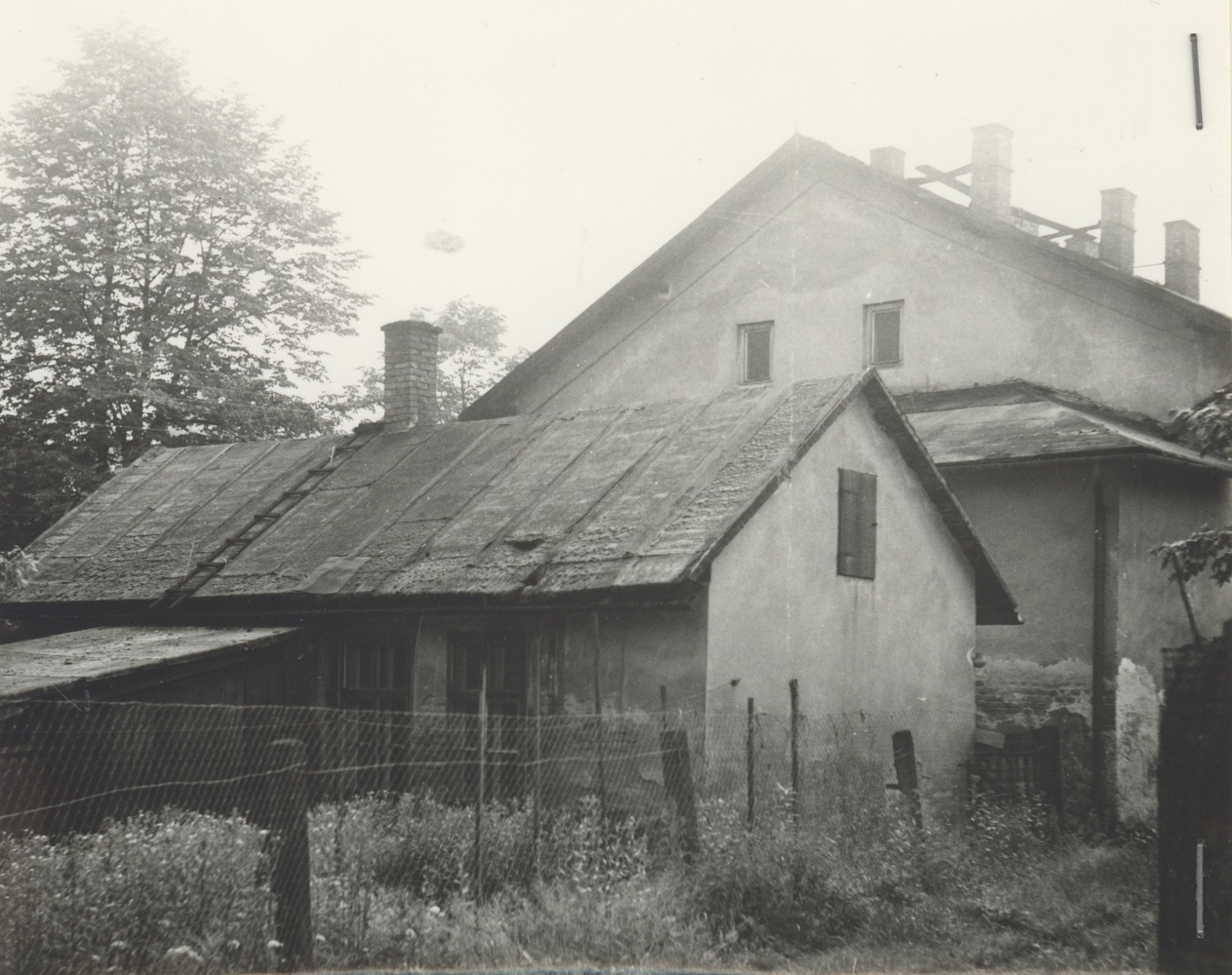 Dům čp. 893 na fotografii z roku 1979