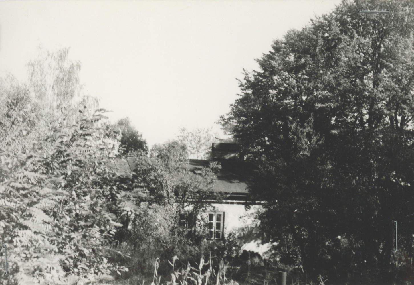 Dům čp. 897