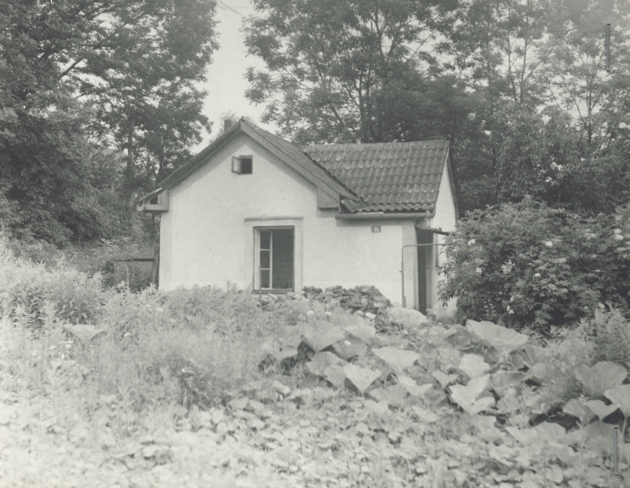 Domek čp. 98 na fotografii z roku 1980. Kolaudován byl v roce 1925, demolice proběhla v roce 1980.