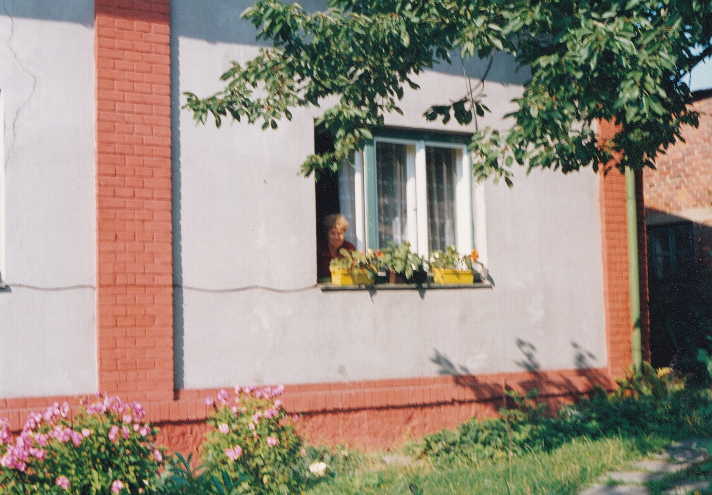 Dům čp. 999 - Sklenářství a rámování obrazů Berka. Momentka ze života... (S laskavým svolením p. Eriky Schweserové, ze soukromé sbírky. Identifikace objektu: Petr Bindač)