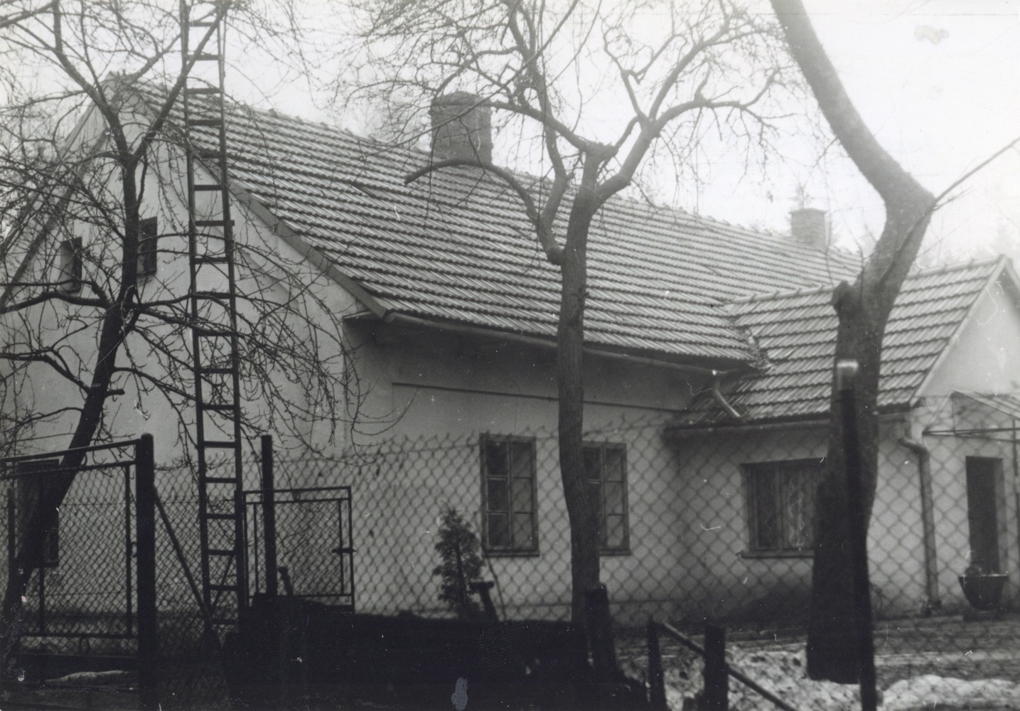 Dům čp. 113 v Lipinách na snímku z 3.4.1988 (Sbírka Józefa Chmiela)