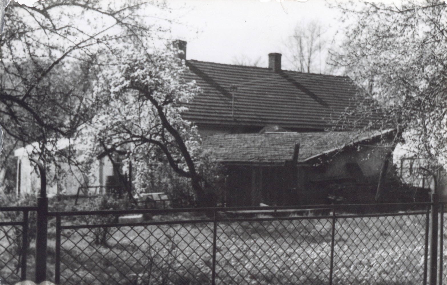 Dům čp. 122 v Lipinách na snímku z 30.4.1995 (Sbírka Józefa Chmiela)