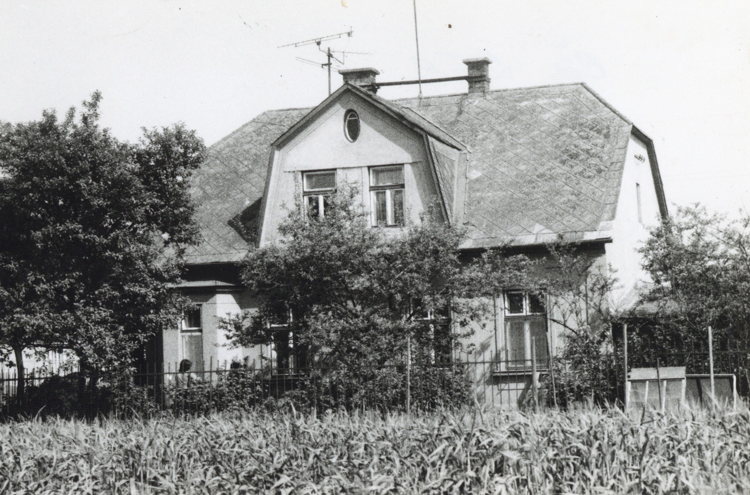 Dům čp. 268 v Lipinách na snímku z 7.7.1985 (Sbírka Józefa Chmiela)