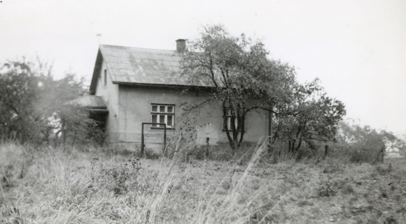 Dům čp. 467 v Lipinách na snímku z 5.7.1988 (Sbírka Józefa Chmiela)