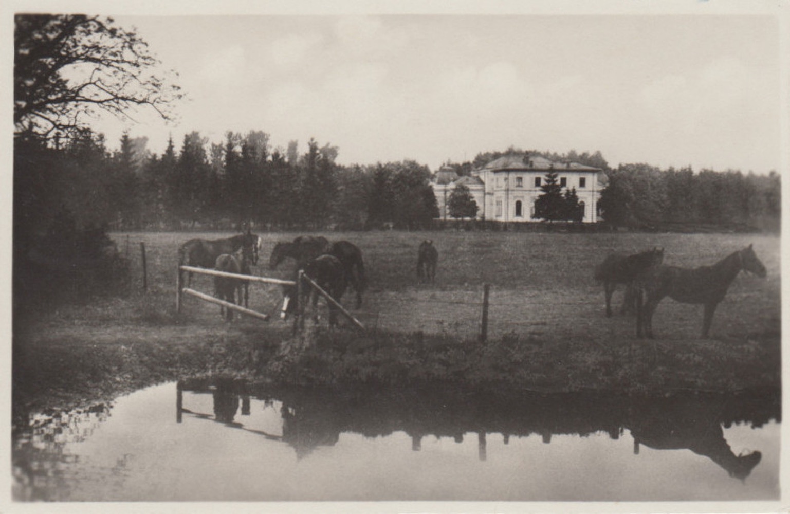 Nový Společenský dům, čp. 498. (Zdroj: fotopolska.eu, odkaz = KLIK na obrázek...)