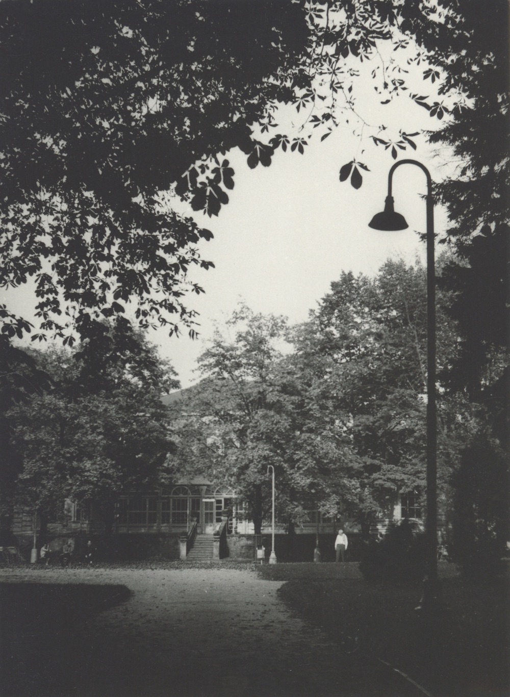 Nový Společenský dům, čp. 498