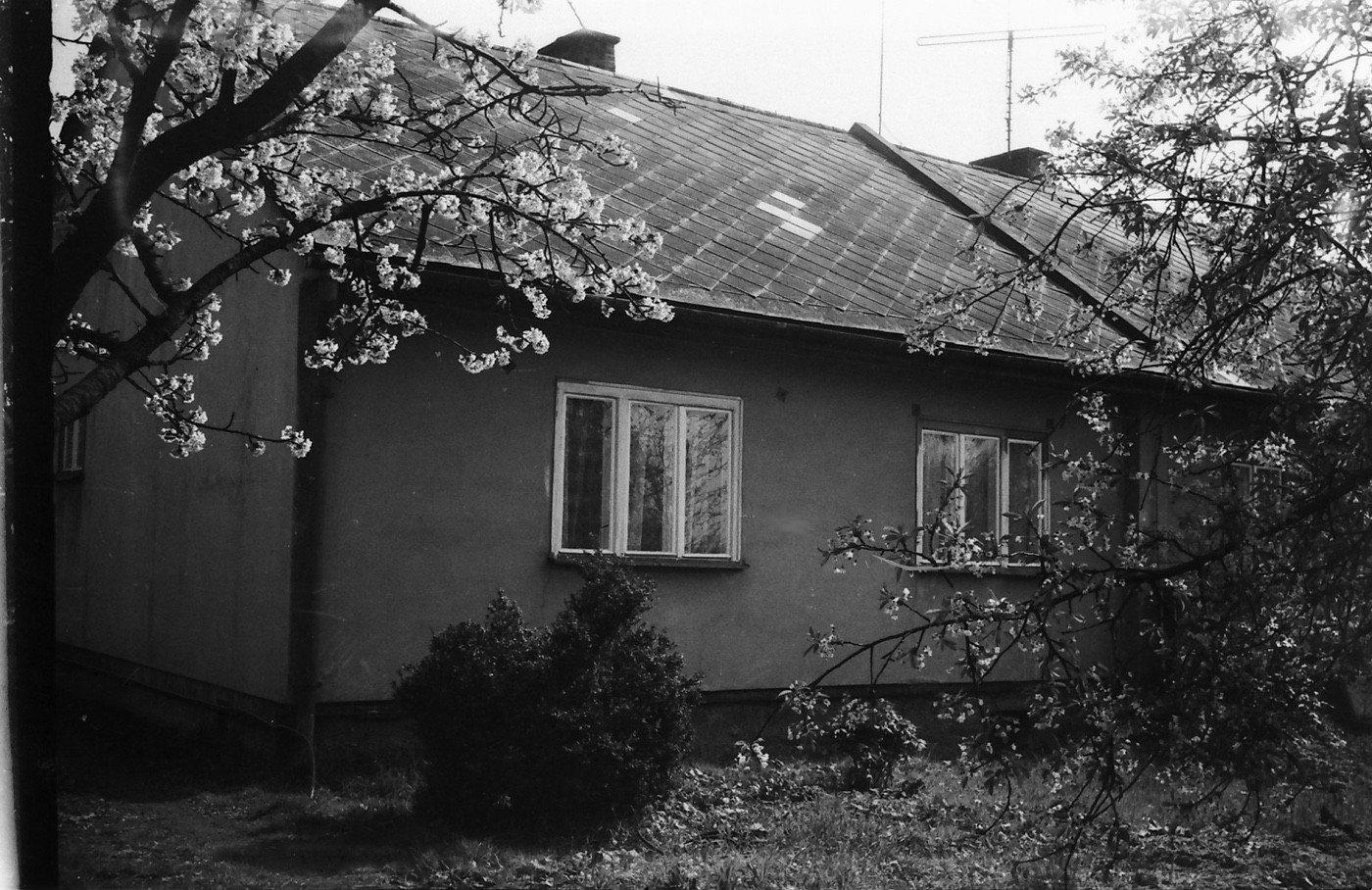 Zadní část domu čp. 1084 a 1083 v roce 1981 (s laskavým svolením p. Valenta, ze soukromé sbírky)