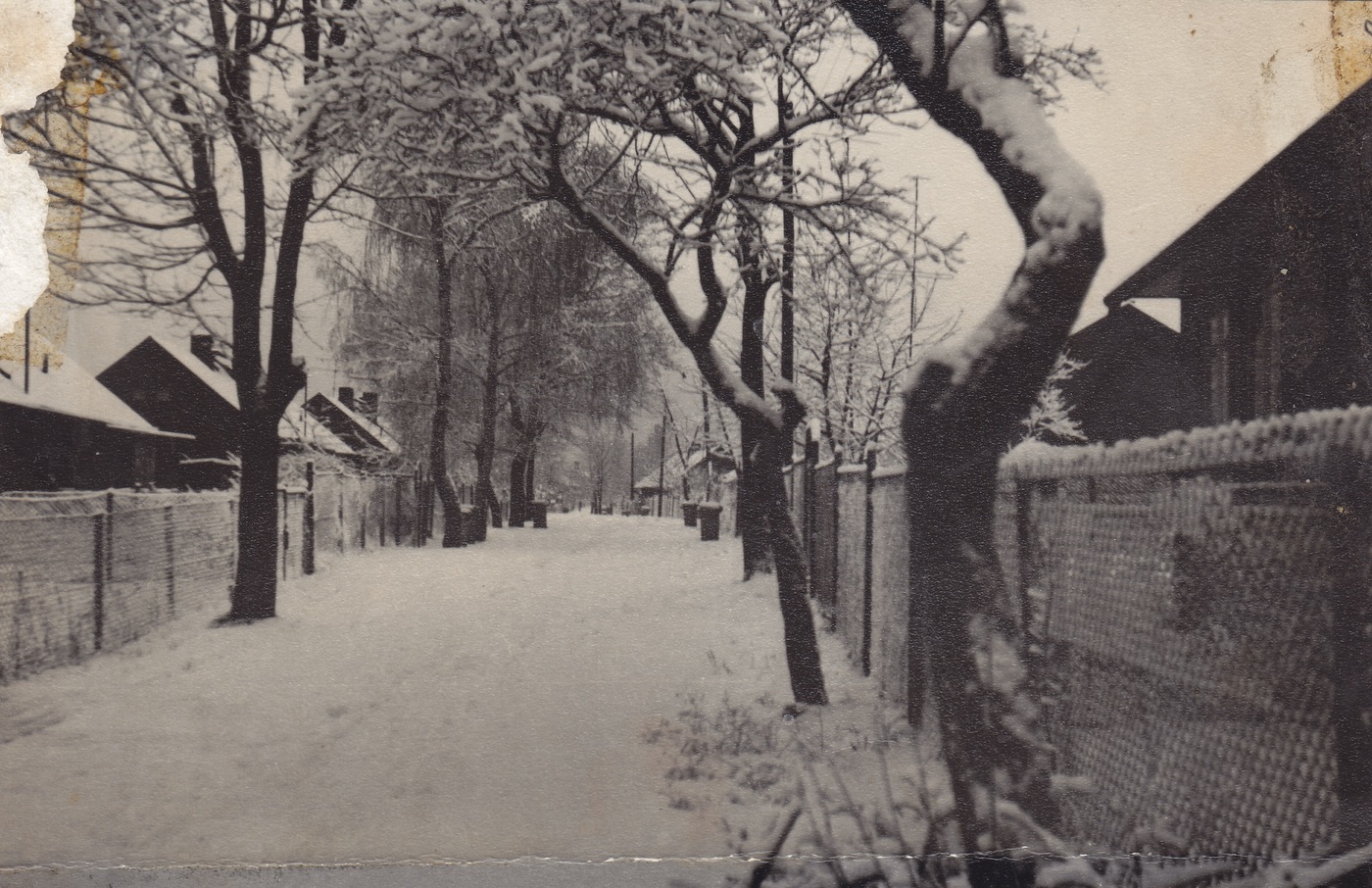 Kolonie finských domků postavená v roce 1953. Na snímku Smetanova ulice (1. 2. 1965)