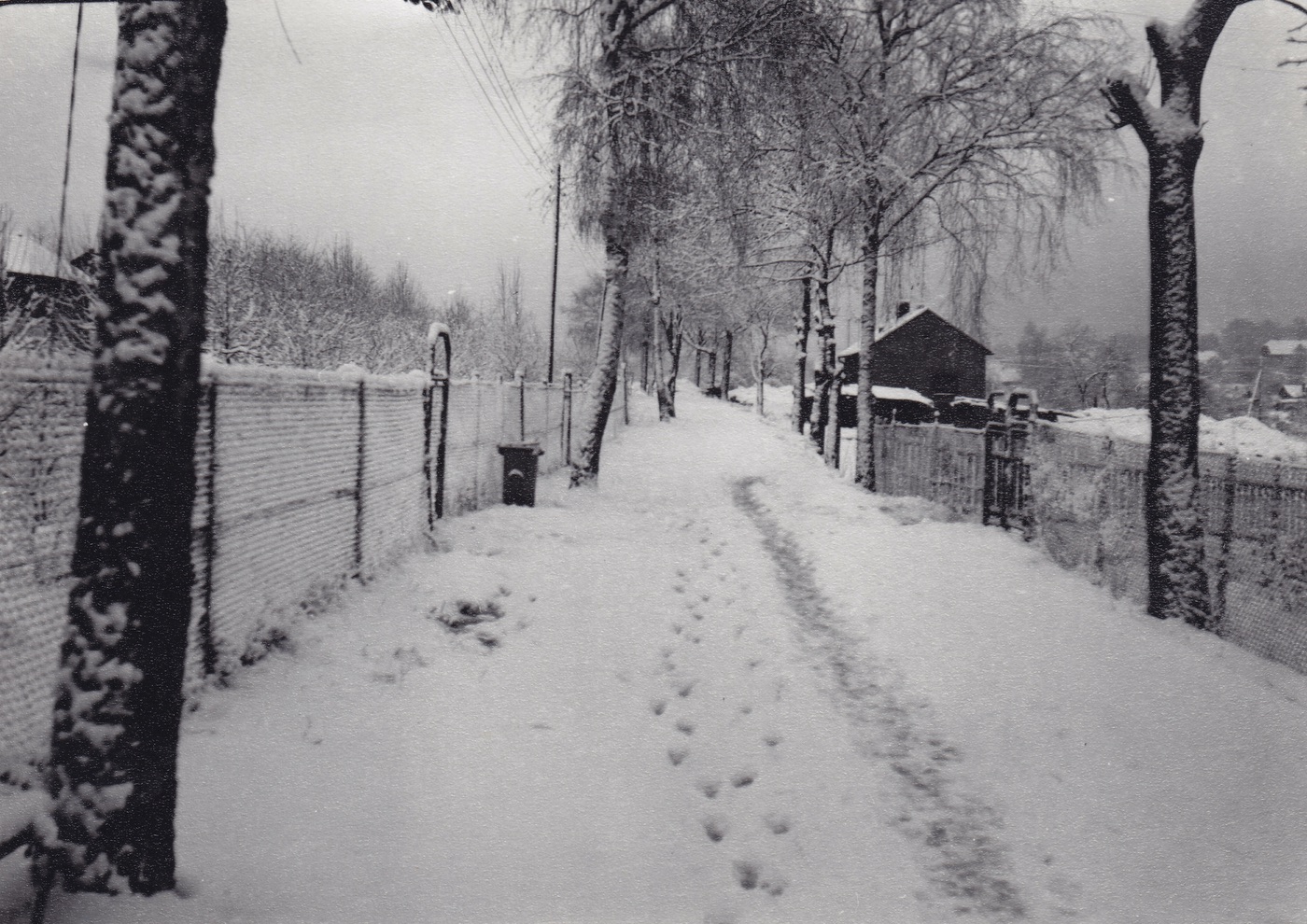 Kolonie finských domků postavená v roce 1953. Na snímku Smetanova ulice (1. 2. 1965)
