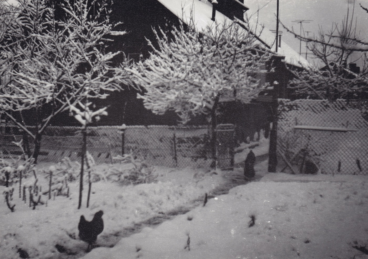 Záběr z kolonie finských domků, poblíž Smetanovy ulice (1965)