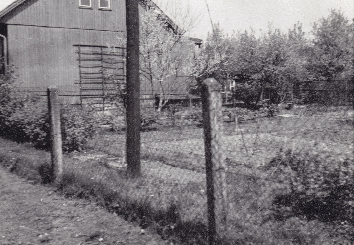 Záběr z kolonie finských domků, poblíž Smetanovy ulice (1965)