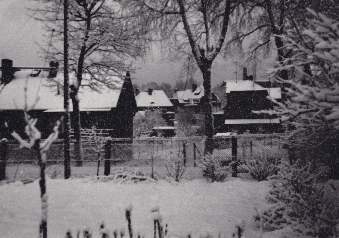 Kolonie finských domků, poblíž Smetanovy ulice (1965)